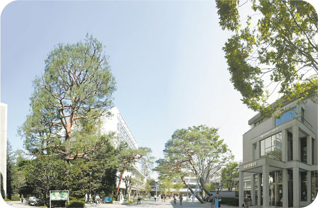 成城大学